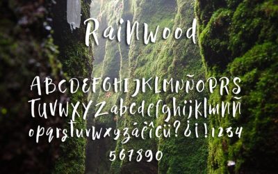 Rainwood Typeface