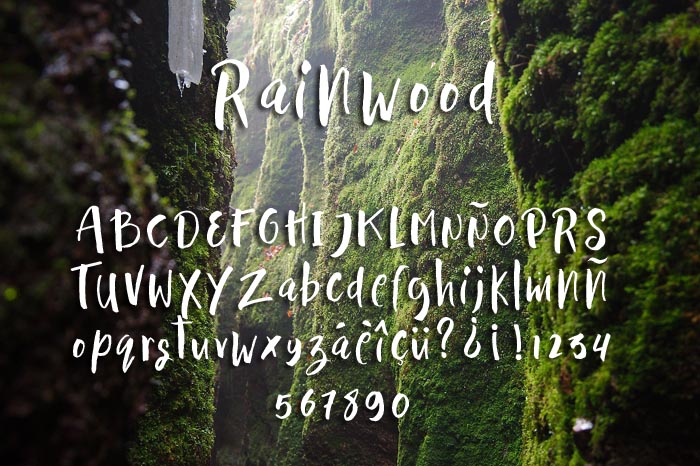 Rainwood Typeface