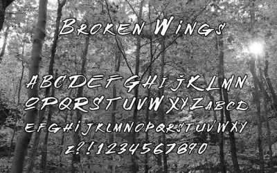 Broken Wings