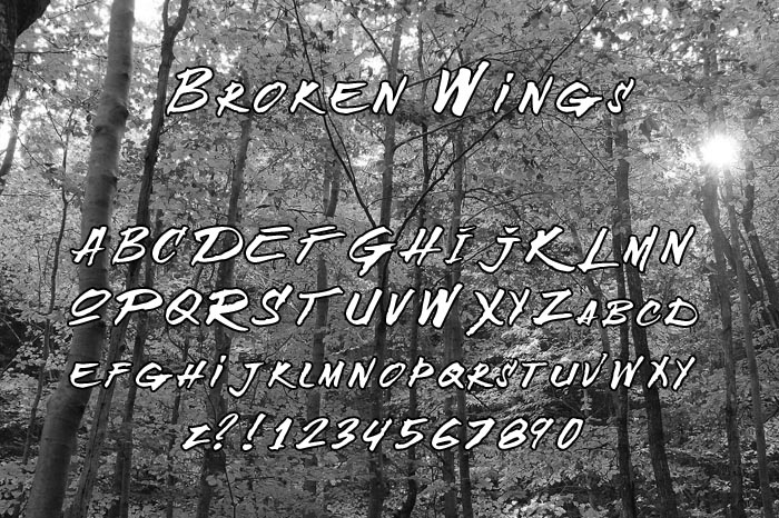 Broken Wings