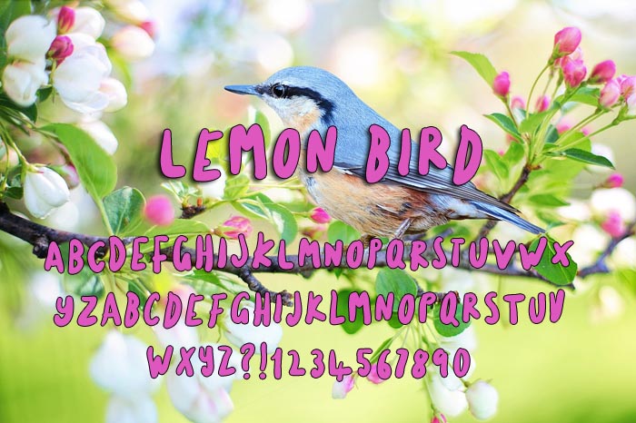 Lemon Bird