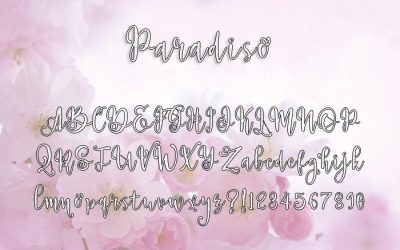 Paradiso Script