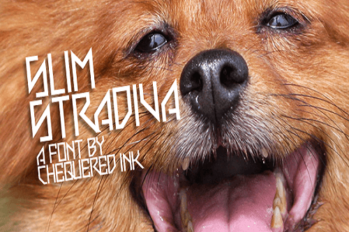 Slim Stradiva