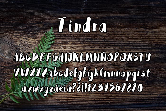 Tindra