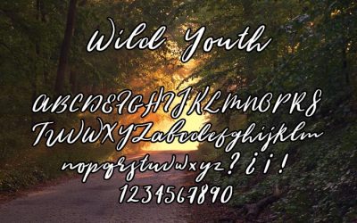 Wild Youth