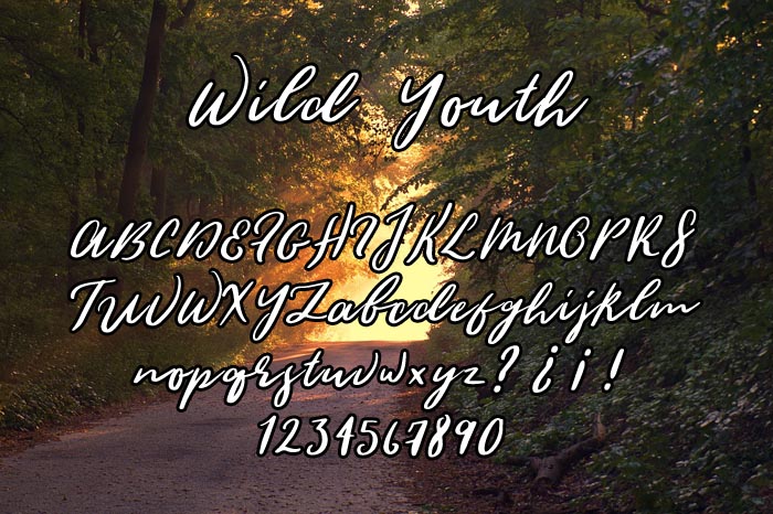 Wild Youth