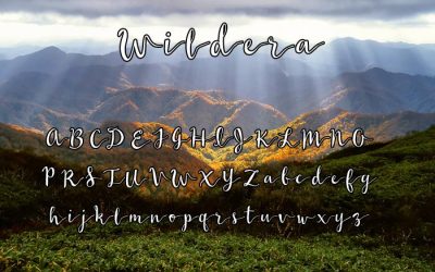 Wildera