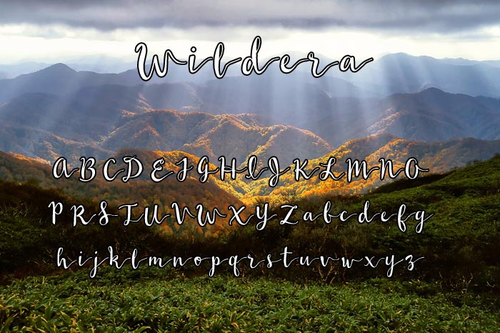 Wildera