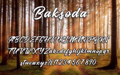 Baksoda