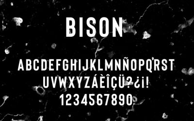 Bison