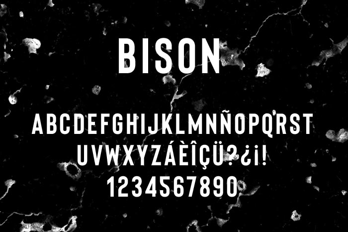 Bison