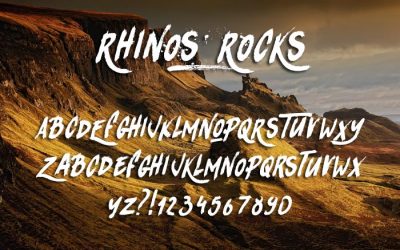 Rhinos Rocks