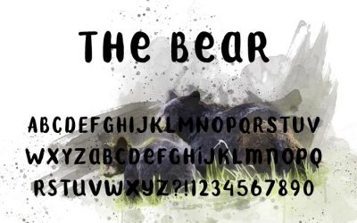 The Bear