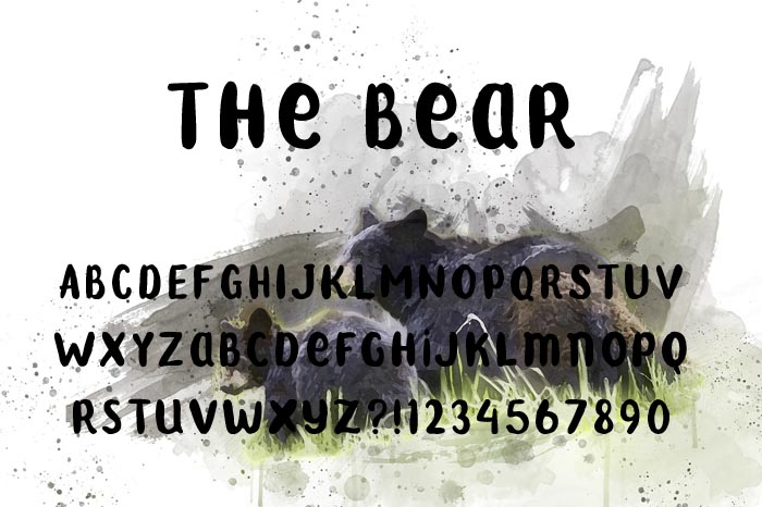 The Bear