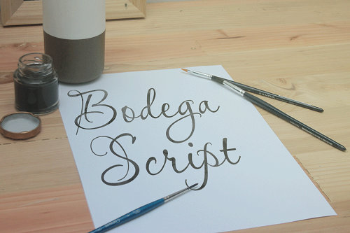 Bodega