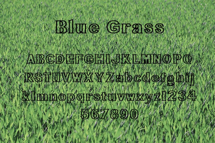 Bluegrass