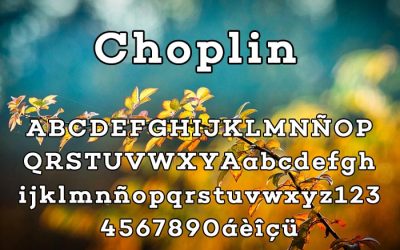 Choplin