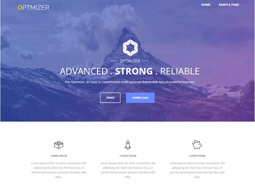 optimizer theme