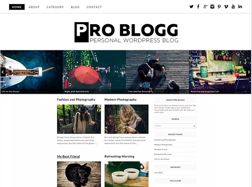 pro blogg theme