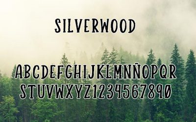 Silverwood