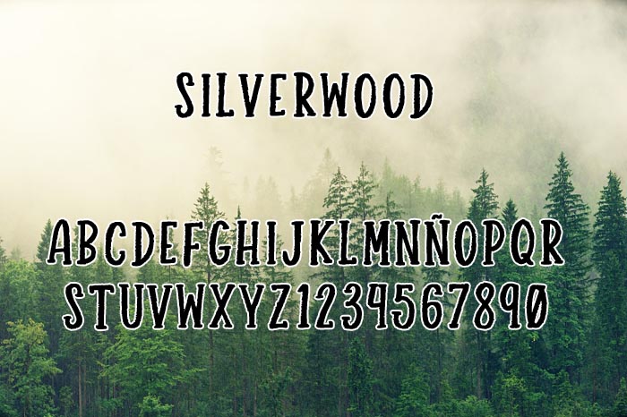 Silverwood