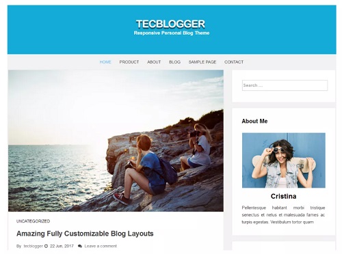 tecblogger theme