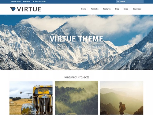 virtue theme